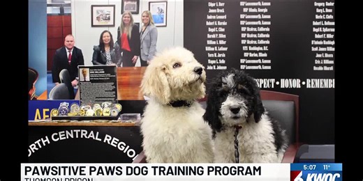 Thomson Prison to start dog training program