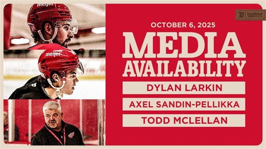 Dylan Larkin, Axel Sandin-Pellikka, Todd McLellan Media