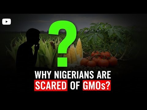 WHAT ARE GMOs? - The Truth About GMOs || SCIENCE ON THE STREET || 13 DEC 2025