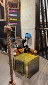 318K views · 17K reactions | Keke is doing so good in the last few days *be sure to check out the 2 updates from today on Our Life Adventures | Clanton Ridge Farm | Facebook