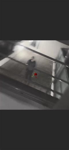 Découverte de Mavi et Le H : Un voyage musical