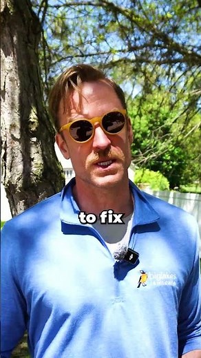 How to Grow Grass Under Pine Trees!