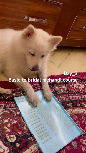 Basic to bridal mehndi courses