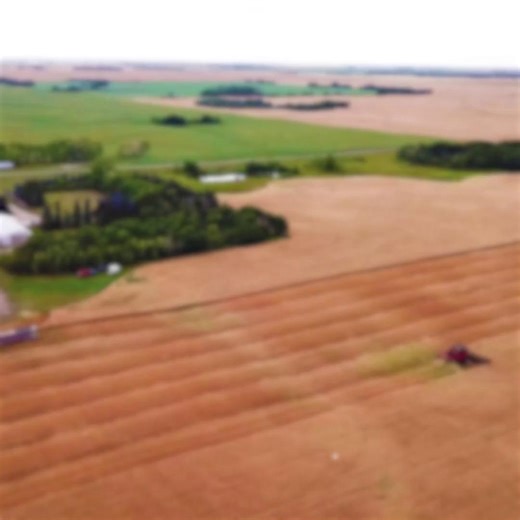 How can Canada’s agriculture sector face the challenges of the future? With innovation! 💡Farm Credit Canada's Graeme Millen joined #TheFirstSixteen to discuss how FCC is making capital available to innovators in Canadian agriculture: https://ow.ly/5gLw50WmixB | Agriculture and Agri-Food Canada