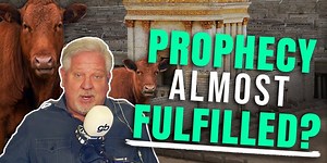 Israel’s Red Heifer Prophecy Explains What's Happening Now