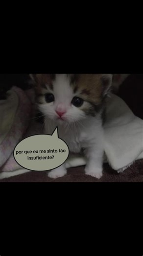 poise #fypシ゚viral #fy #fypシ