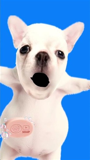 Wash my belly