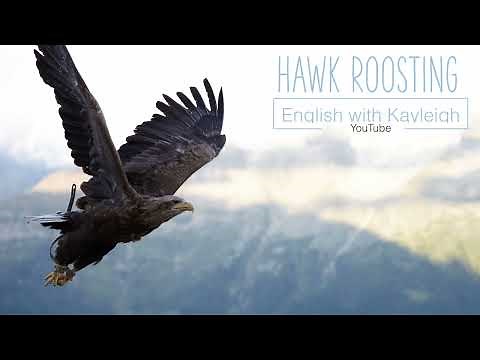 Hawk Roosting | Ted Hughes | Poetry Analysis | GCSE Literature | English with Kayleigh