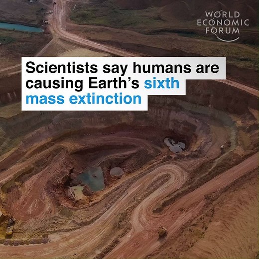It will take our planet 3 million years to recover. 📕 Read more: https://wef.ch/2RTLCcU | World Economic Forum