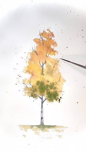 Rachel Wiggins on Instagram: "how to paint a quaking aspen in watercolor 🧡🧡🧡 #utahwatercolorist #watercolor #aquarelle #landscapeart #watercolourart #watercolorlandscapepainting #watercolormountains #utahartist #watercolorpainting #watercolortree #watercolortutorial #paintwithme #arttutorial #30seconds #artofinstagram #artoftheday #archespaper #dalerrowney #dalerrowneywatercolor"