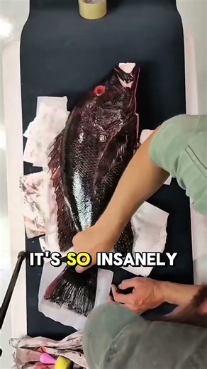 “Why Is This Guy Painting a Dead Fish?! 😳