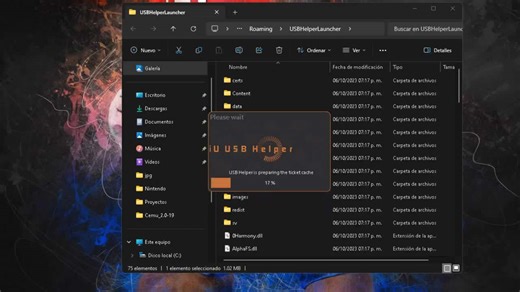 Guía de Instalación Wii U Usb Helper