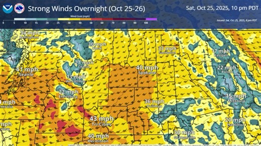 134K views · 261 reactions | The focus will now shift toward strong persistent winds overnight into Sunday morning. Gusts 40-50 mph expected to impact many communities across E WA and N ID. The video below shows the mean wind gusts from the HREF (High Resolution Ensemble Forecast System) from 8PM Saturday through 9AM Sunday. | US National Weather Service Spokane Washington | Facebook