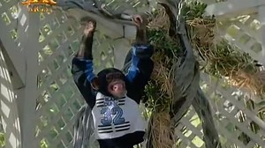 Kidnapped (1987)