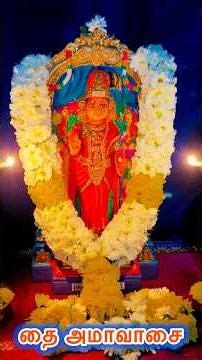 இவங்களையெல்லாம் தூக்க எனக்கு ஒரு பாக்யம்| Nandhini’s digital diary 18th January 2026 #nandhinivibes