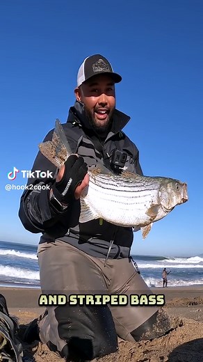 Where to Cast when fishing for Barred Surf Perch and Striped Bass