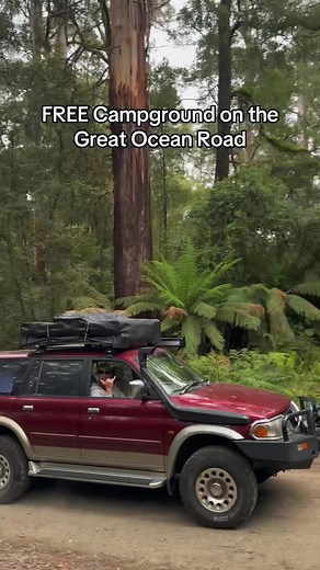 Exploring Aire Crossing Campground on the Great Ocean Road