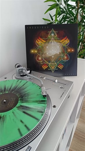 reggaeonvinyl op TikTok