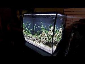Fluval Flex: Unboxing and Setup