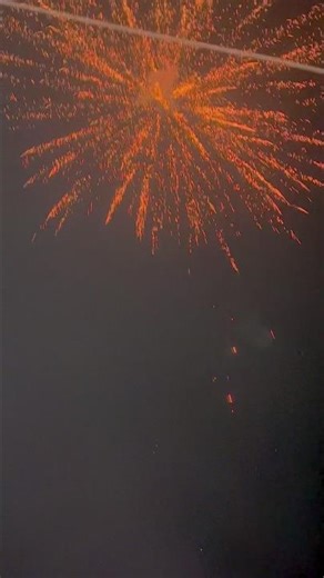 Welcome Cheetah 💪🏻 |#shortvideo #shorts #ytshorts #reels #foryou #foryoupage #explore