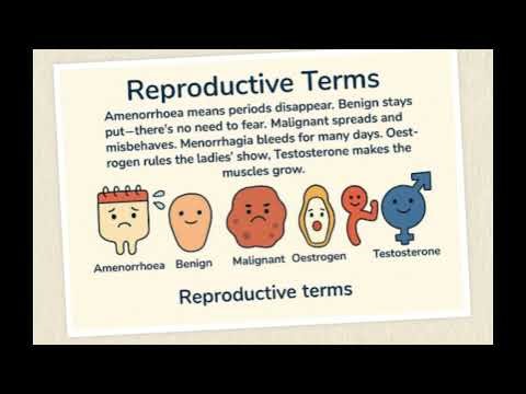 Reproductive system song 2