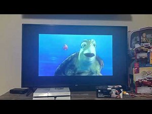 Finding Nemo fishy facts: Crush