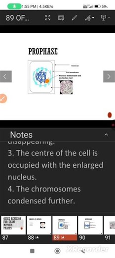 30 secs.Mitosis Quick Exam revision with notes#exam