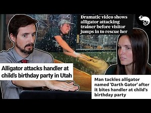 Alligator Attack Survivor Lindsay Bull - The Truth Behind The Viral Video REACTION