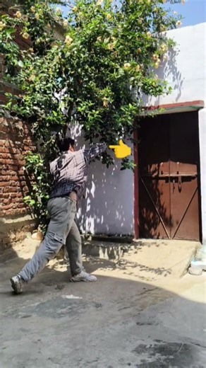 mma elbow strike combo round Kick training #tutorial #shortvideo