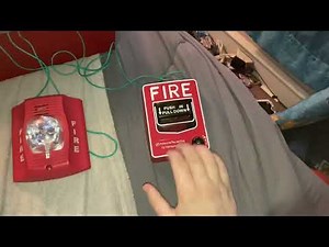 System Sensor P2R SpectrAlert Advance/Fire Lite BG-12 Connected To Fire Lite MP-24 Fire Alarm Panel