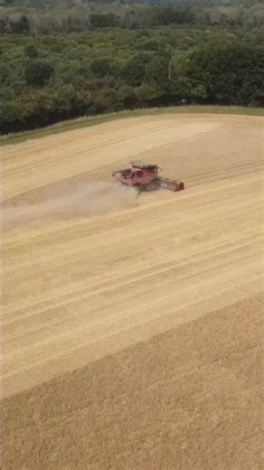 CASE iH Axial-Flow 8230 #harvest #combine #spotting