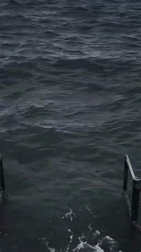 Ý Nghĩa Của 23 Triệu Trong Rau Răm