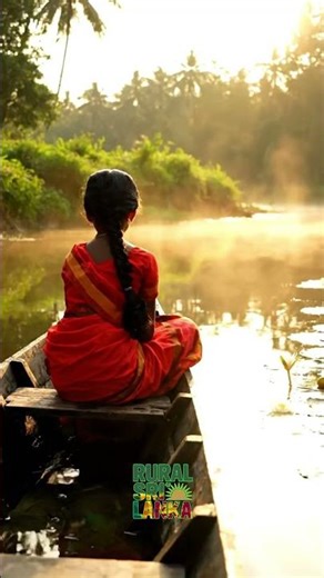 River Morning in Sri Lanka 🌻❤️ #ruralsrilanka #srilanka #travel #rurallife #ruralliving #naturelife