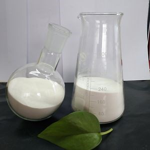 [Hot Item] Petrochemical Industry Additive Water-Soluble Cellulose Ether Polyanionic Cellulose PAC Hv LV Poly Anionic Cellulose