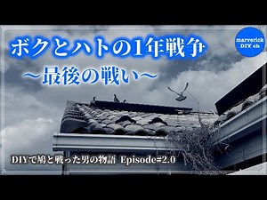 DIYで鳩対策 ~太陽光パネルに巣を作られた男の奮闘記~ Episode 2.0