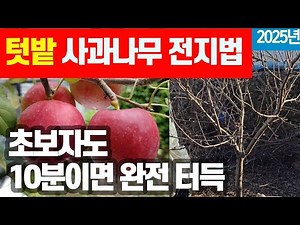 (Home Garden) Apple Tree Pruning - Master It in Just 10 Minutes, Even for Beginners