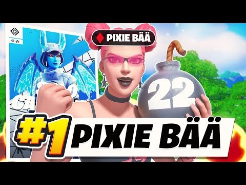 22 KILL WIN in Solo Victory Cup 🏆 | pixiefnbr