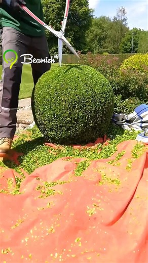 Amazing | Flowers and Gifs