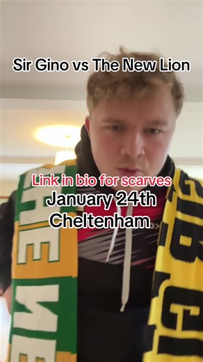 Big News who’s your money on Sir Gino or The New Lion! Let me know and as always if you want a scarf to cheer them on links in the bio! #horserace #horseracing #cheltenham #paddockscarves #sirgino #thenewlion #2026 #cheltenhamfestival2026
