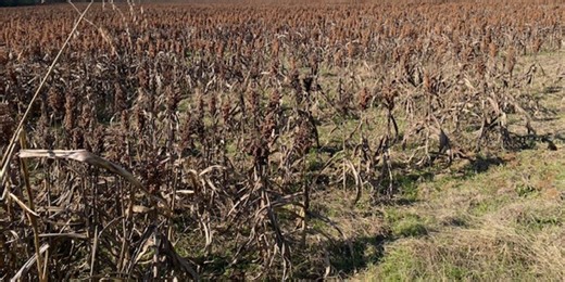 Alabama farmers hope to get a slice of $12 billion farm aid package