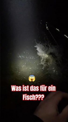 What kind of fish is that??? (River monster?) 😱 #fishing