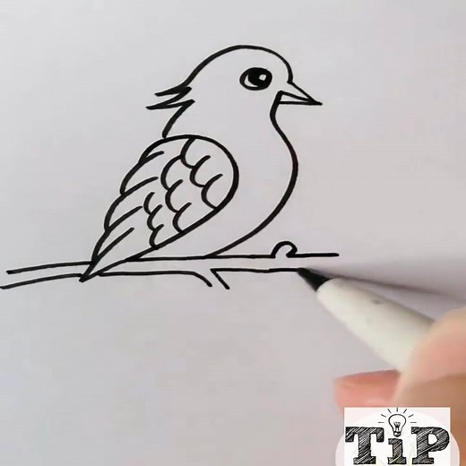 Easy Drawing Tutorials for Beginners :) | Myeva Crafts