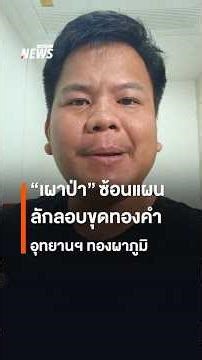 ภาพกลุ่มลักลอบขุด-ร่องทองคำ ใช้วิธีเผาป่า เบี่ยงเบนความสนใจ จนท. | Thai PBS News