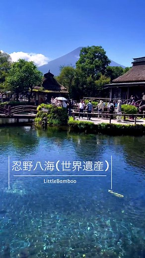 世界遺産の忍野八海に行ってきました 水が澄んでいて、とても綺麗です。色が水色で深いですが、 底まではっきり見えます 1度は行ってみて損はないです 富士山も良く見えます 湧水を飲むこともできます #忍野八海 #世界遺産 #絶景 #富士山 #名水百選