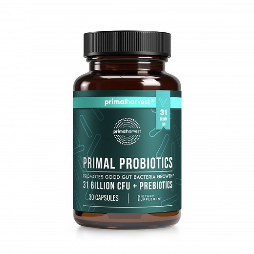 Primal Probiotics and prebiotics ▷▷ for Women & Men 🥇