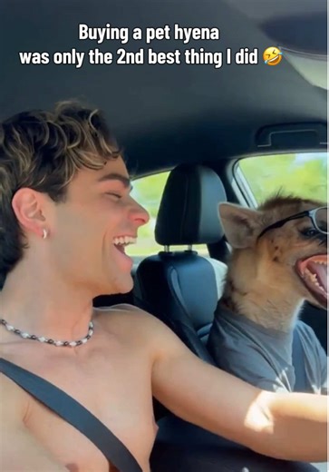 We just can’t stop laughing 🤣😭 | hyenas