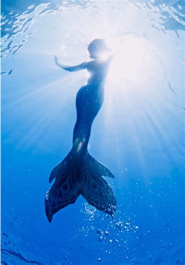 Big news @mermaiddreamschool : 2025 is already making waves! 🎉 Bookings are flooding in for our highly sought-after mermaid lessons, events, and unforgettable parties! Don’t miss your chance to experience the magic that everyone’s talking about—this is THE year to dive into the dream! 🧜🏽‍♀️ #becomeamermaid #mermaidcertification #mermaidlenisa #hawaiianmermaid #mermaidmodel #mermaidlove #mermaiddreams #texasmermaid #mermaidschool #mermaidlessons #mermaidtail #padimermaidinstructor #mermaiddrea
