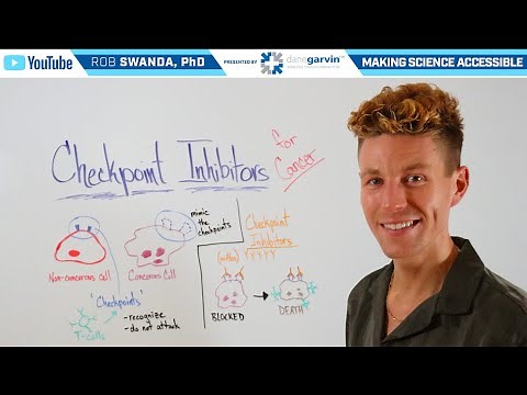 How do Checkpoint Inhibitors for Cancer Treatment Work?