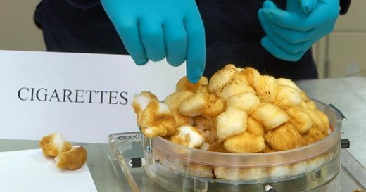 What the science says about the safety of e-cigarettes