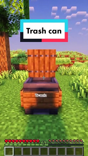 Fully Working Trash Can in Minecraft